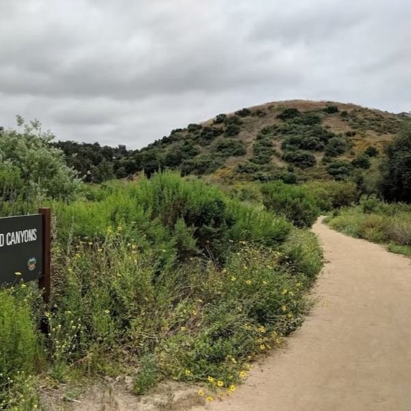 Aliso and Wood Canyons Wilderness Park