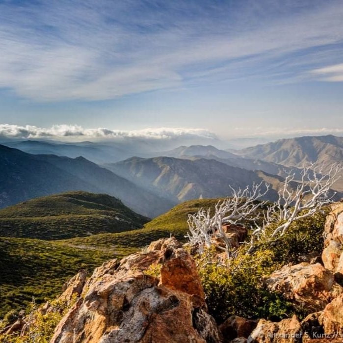 Cleveland National Forest