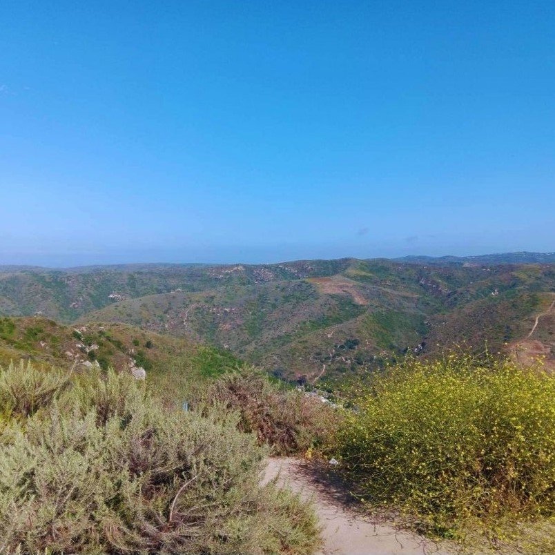 Aliso and Wood Canyons Wilderness Park