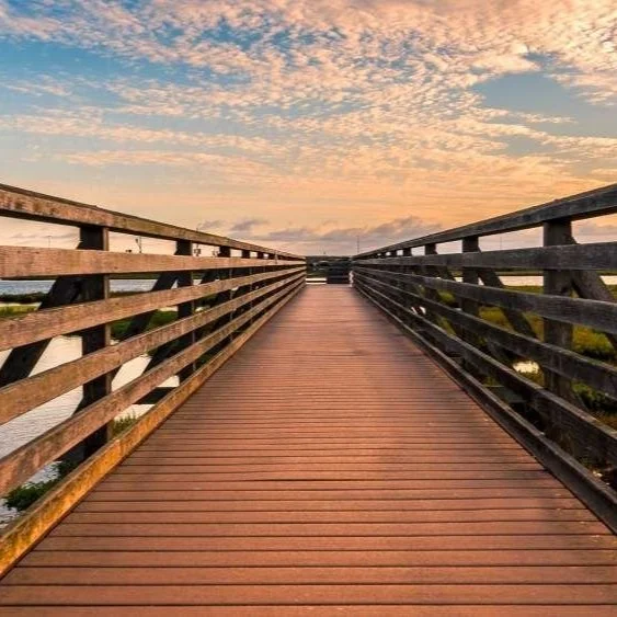 Bolsa Chica Ecological Reserve