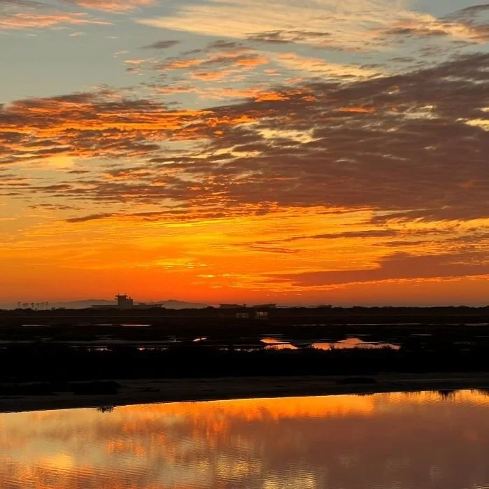 Bolsa Chica Ecological Reserve