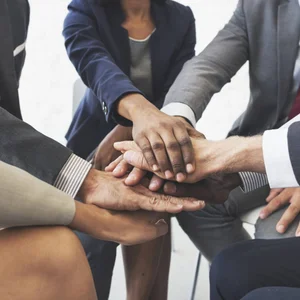 Team vs. Solo Realtor: Which Is Better for Buyers and Sellers?