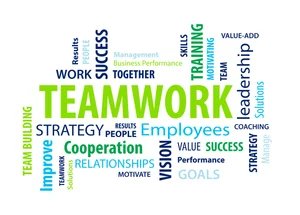 Meet the Staff Behind The Star Home Team: The People Supporting Our Agents and Clients