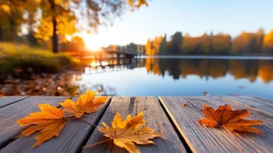 Living on the Chain O’Lakes Year Round: A Buyer’s Guide