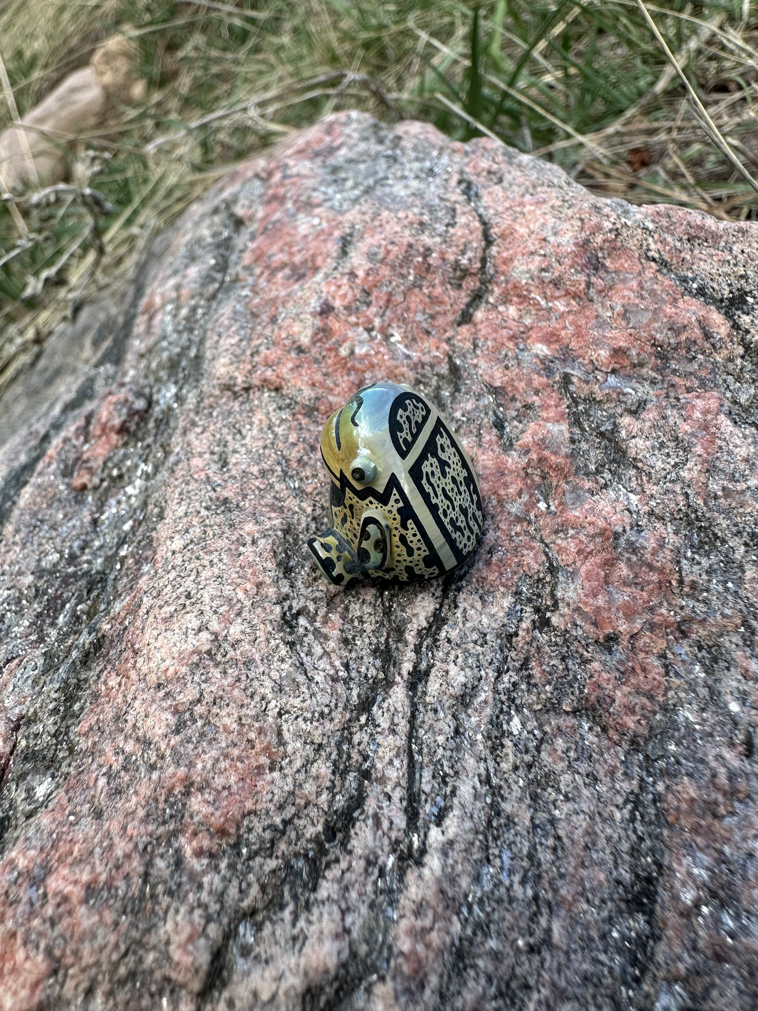 IMG_1799bug.jpeg