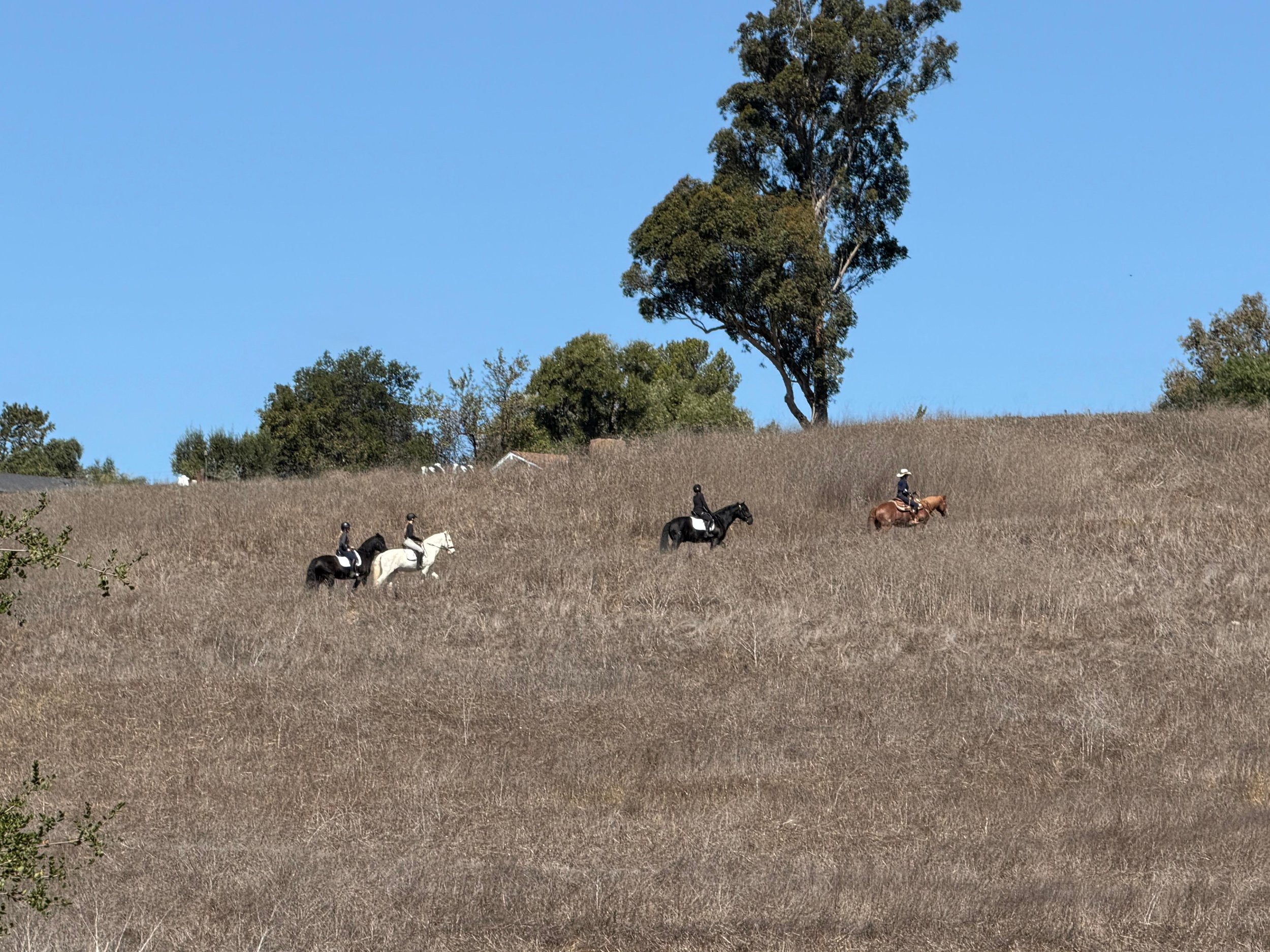 PHOTO-2026-01-13-19-32-22 2.jpg