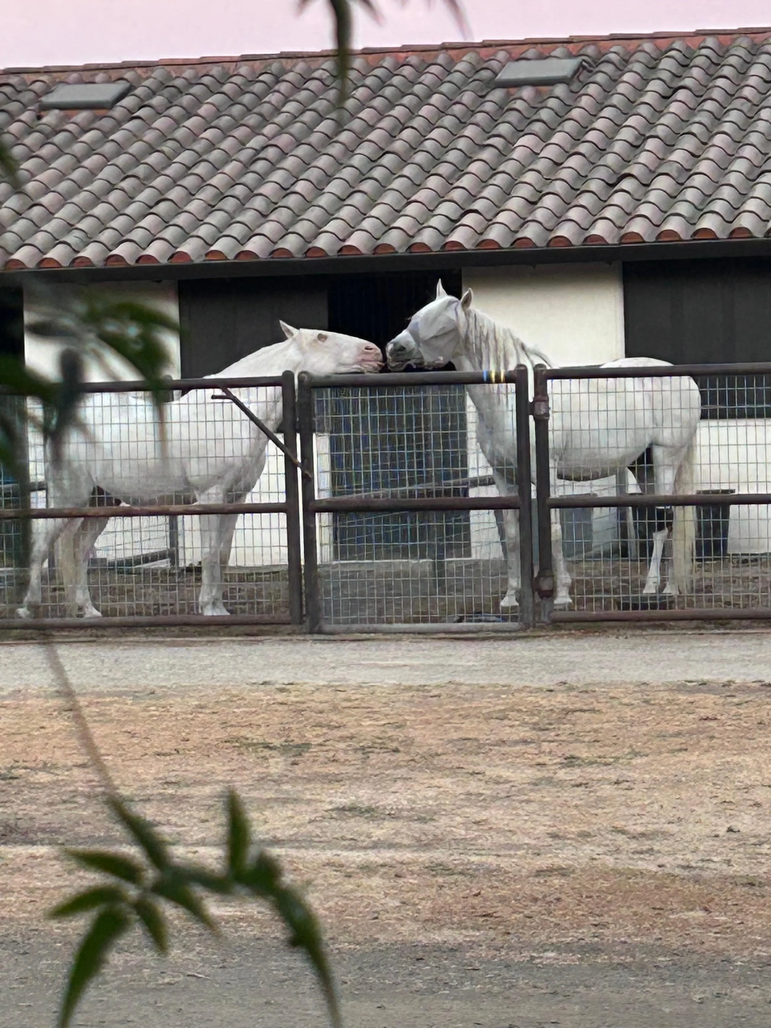 PHOTO-2026-01-13-19-32-22 6.jpg