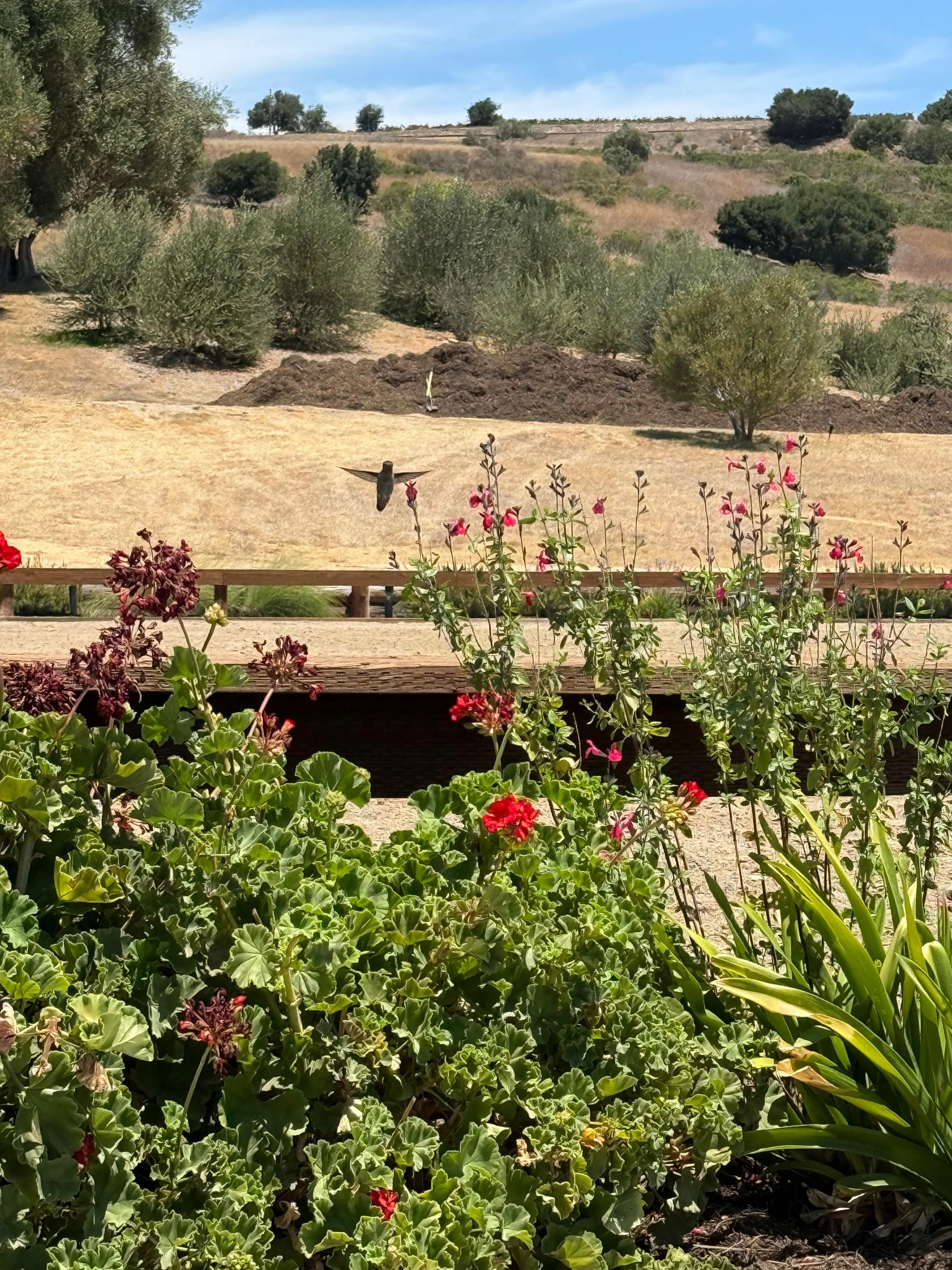 PHOTO-2026-01-13-19-32-22 9.jpg