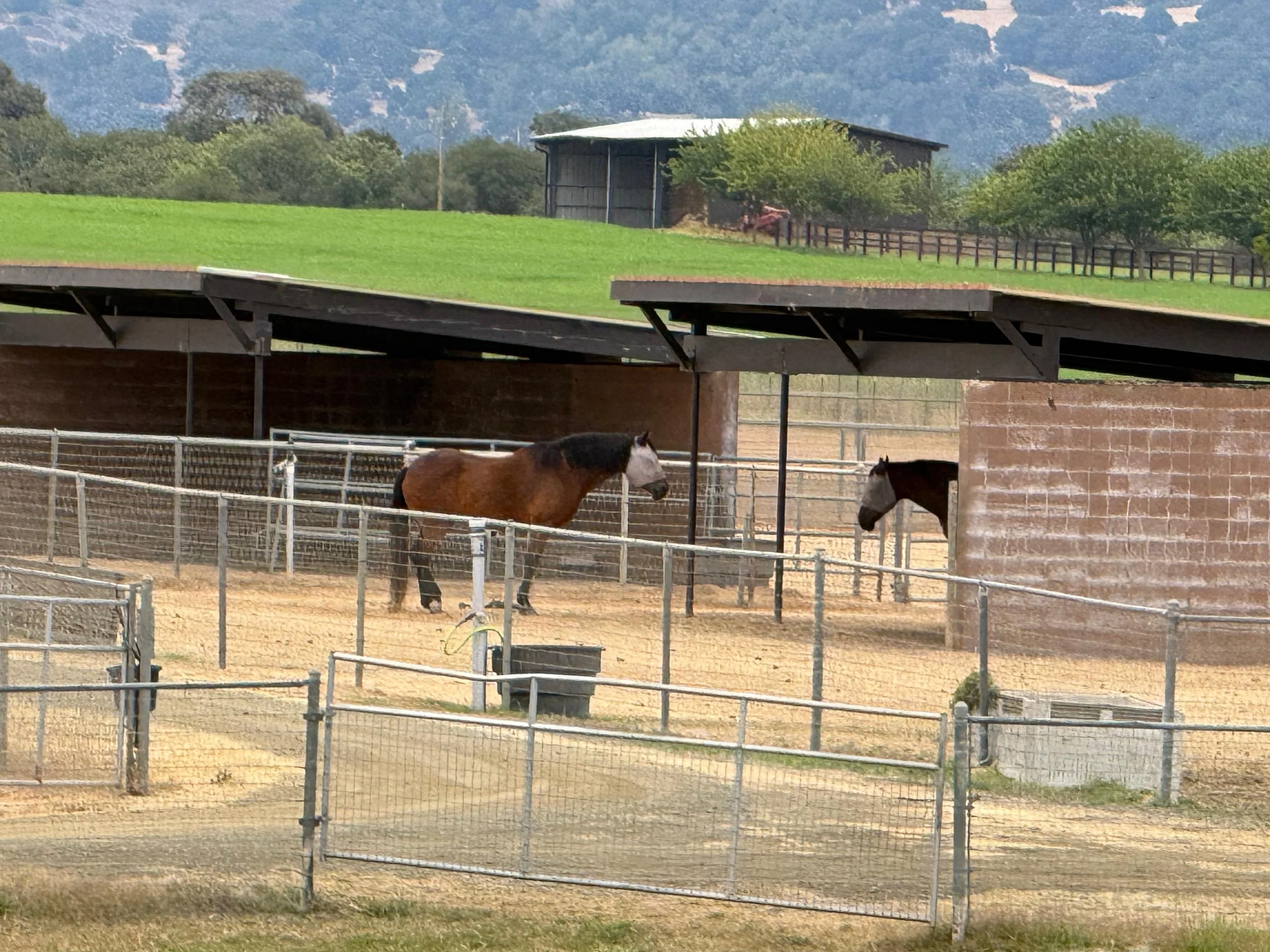 PHOTO-2026-01-13-19-32-22 10.jpg