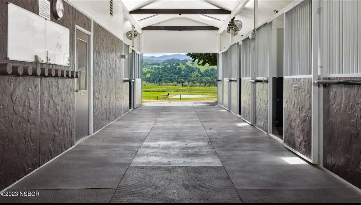 PHOTO-2026-01-13-19-32-23 2.jpg