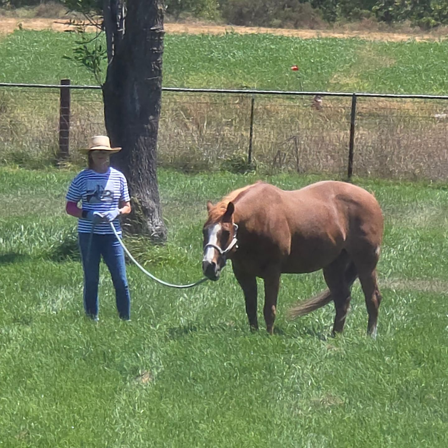 PHOTO-2026-01-13-19-32-23 5.jpg