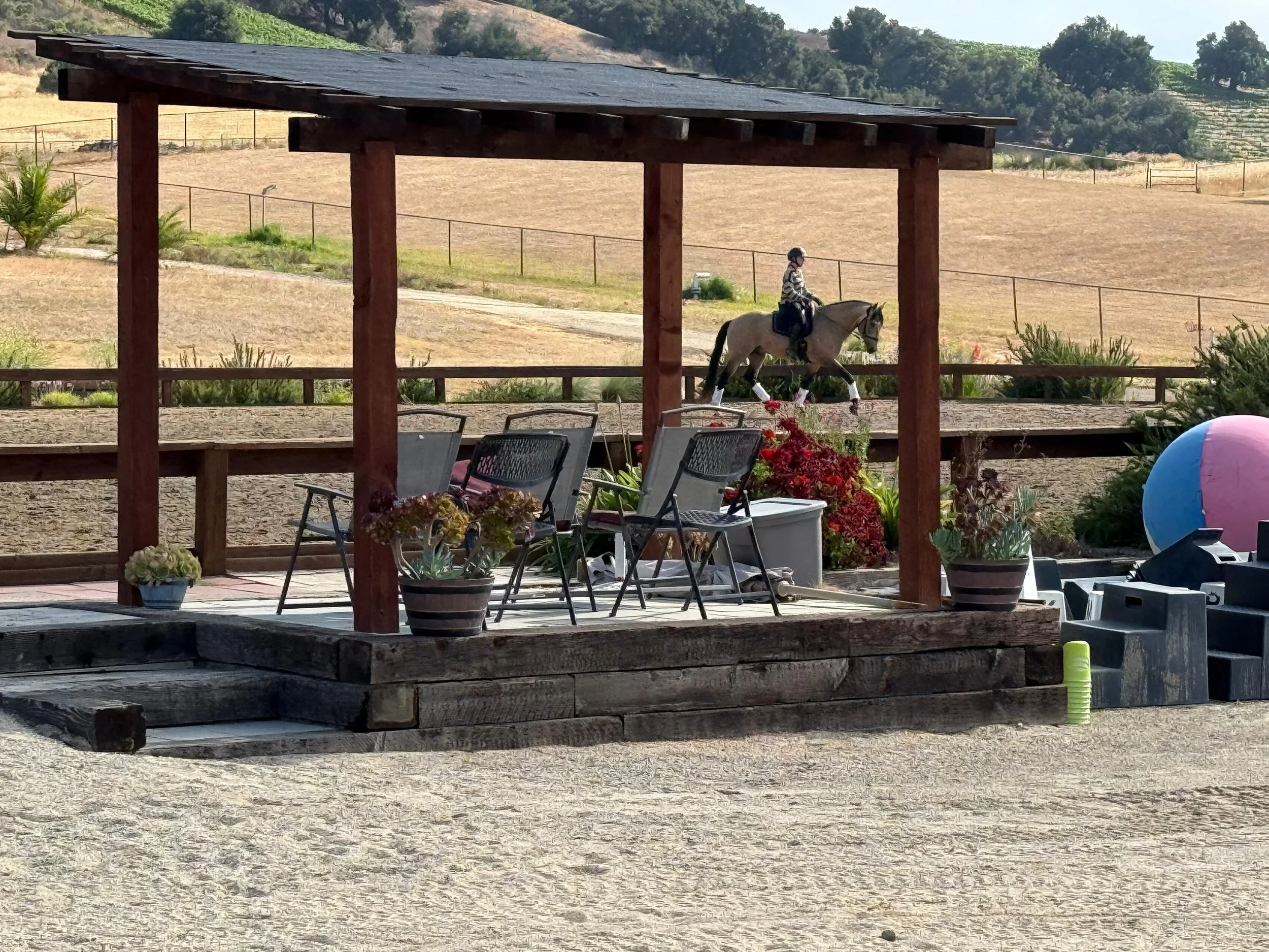 PHOTO-2026-01-13-19-32-23 6.jpg