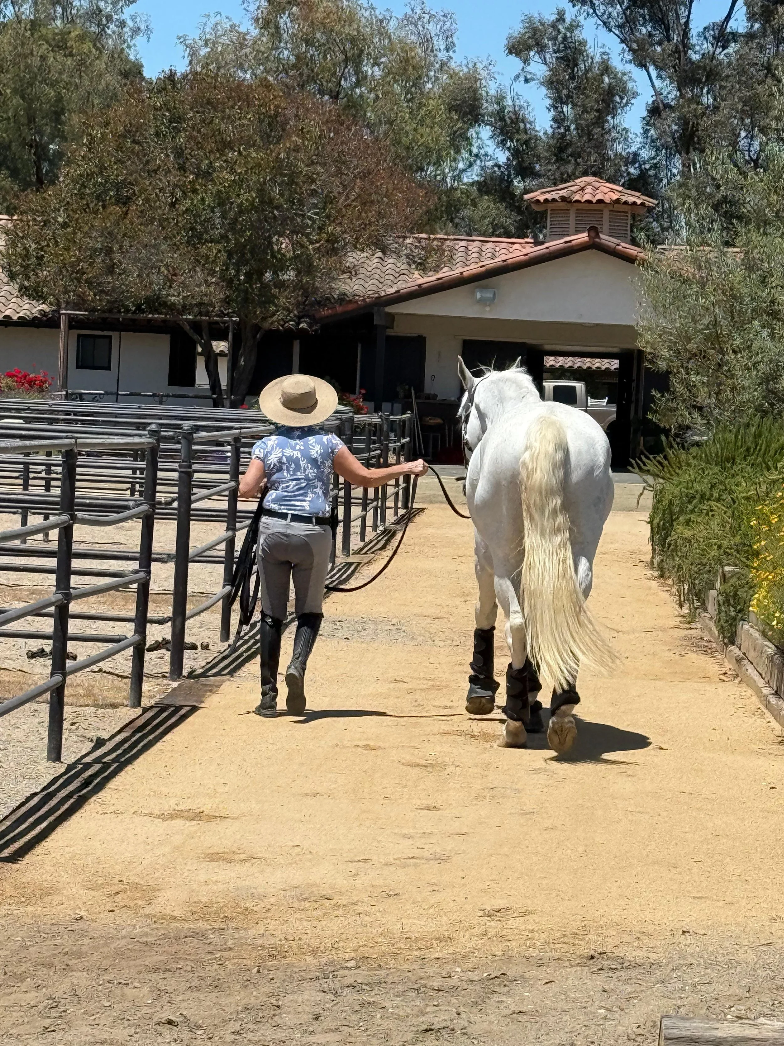 PHOTO-2026-01-13-19-32-24 2.jpg