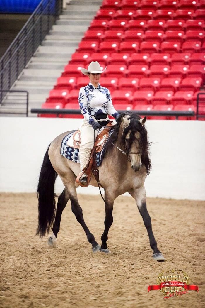 NC working eq 2.jpeg