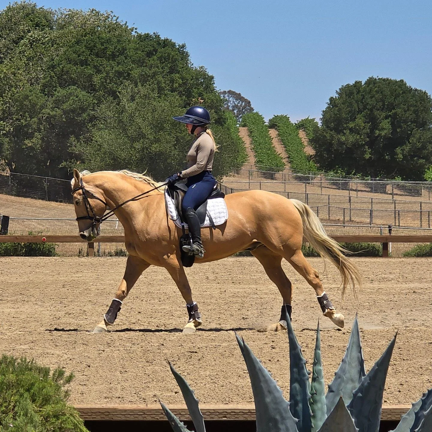 PHOTO-2026-01-13-19-32-22 4.jpg