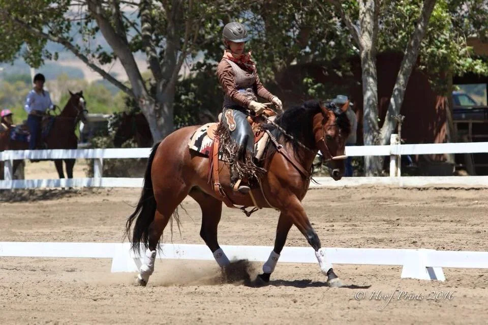 Tiger side WD bosal.jpeg