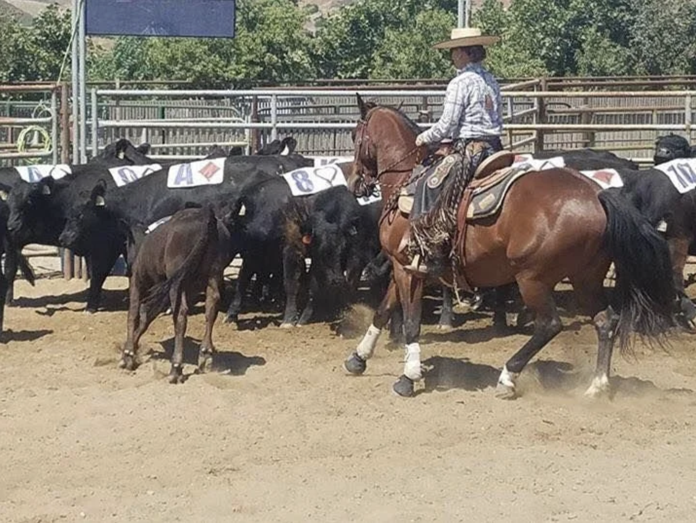 Screenshot 2026-03-09 at 9.04.26 AM.png