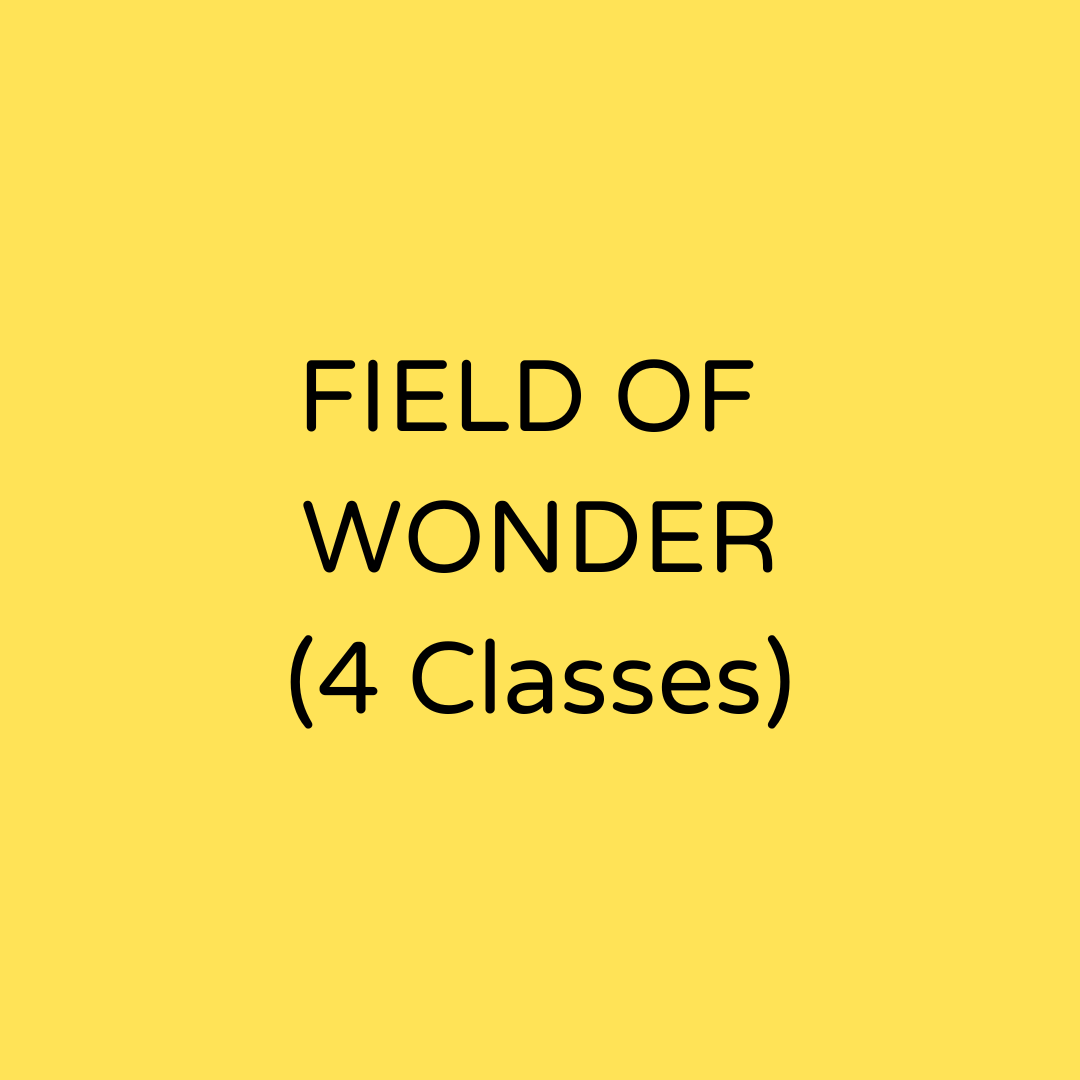 field 4 for store.png