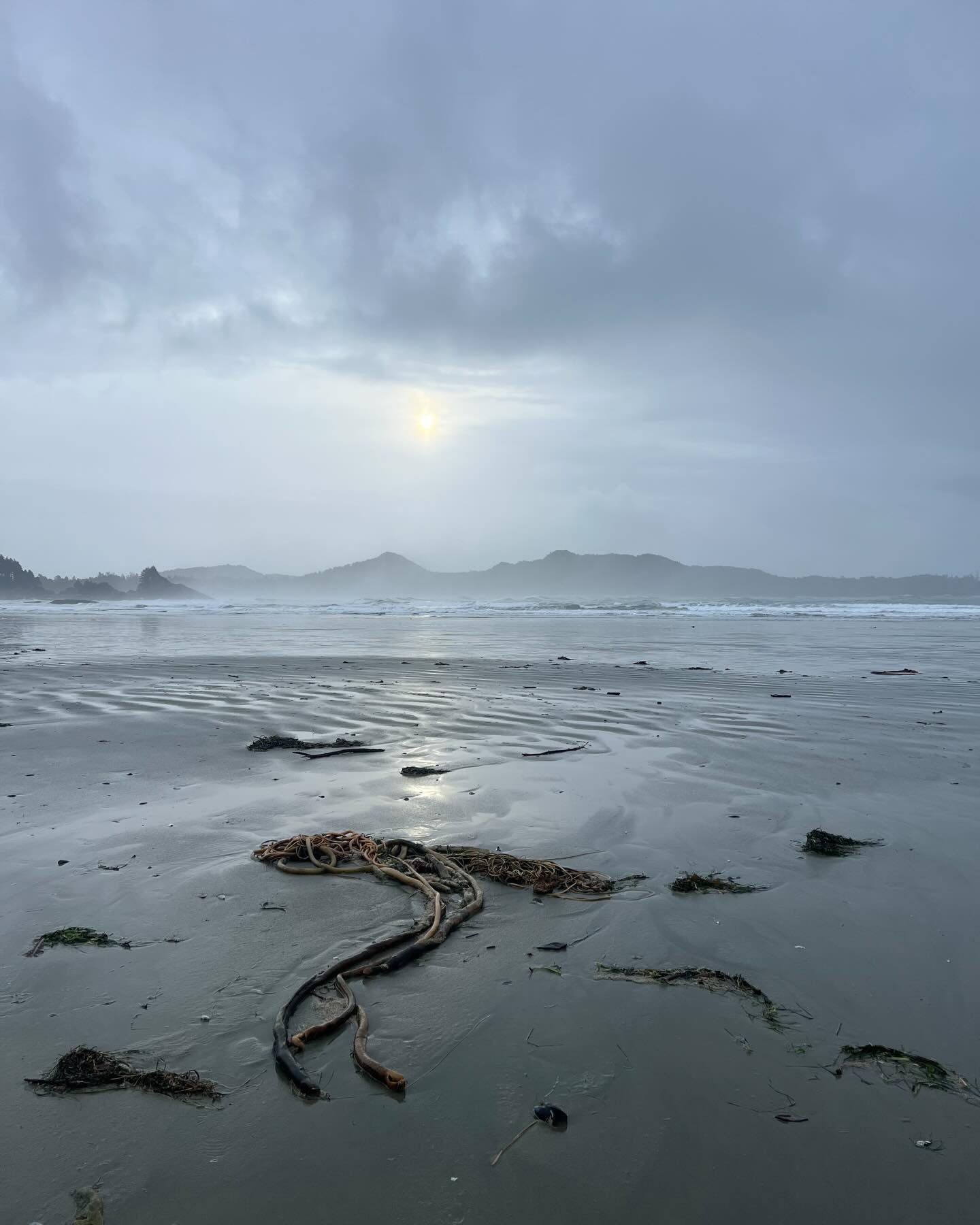 A winter update for you!
Cause it&rsquo;s been a while, friends. 

The healing space has taken shape and we&rsquo;re just about to get things moving inside. 
Not much longer now.

I&rsquo;ve opened up a priority waitlist for sessions when they start 