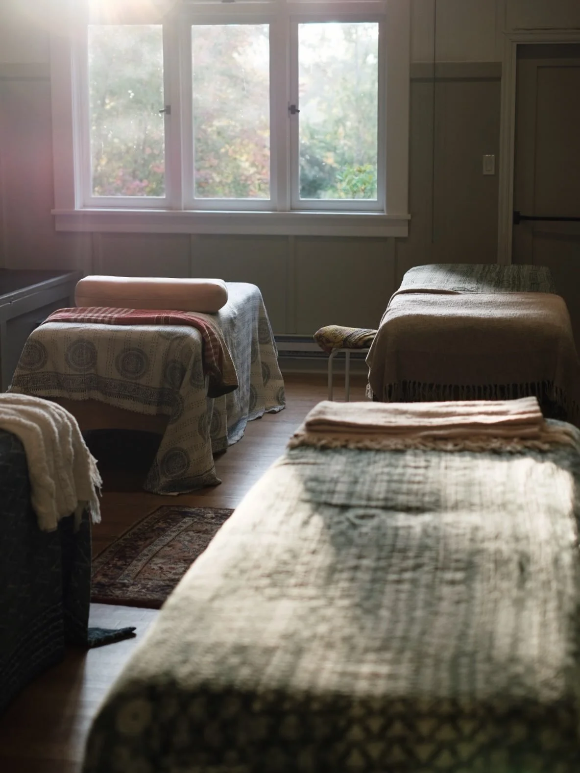 Moments from our recent Craniosacral Level 1 training on Galiano 🤎

To capture photos of this time is to share just a glimpse of what we feel and notice inside. An understanding that moves through our bones, breath and the quiet space in between. 

