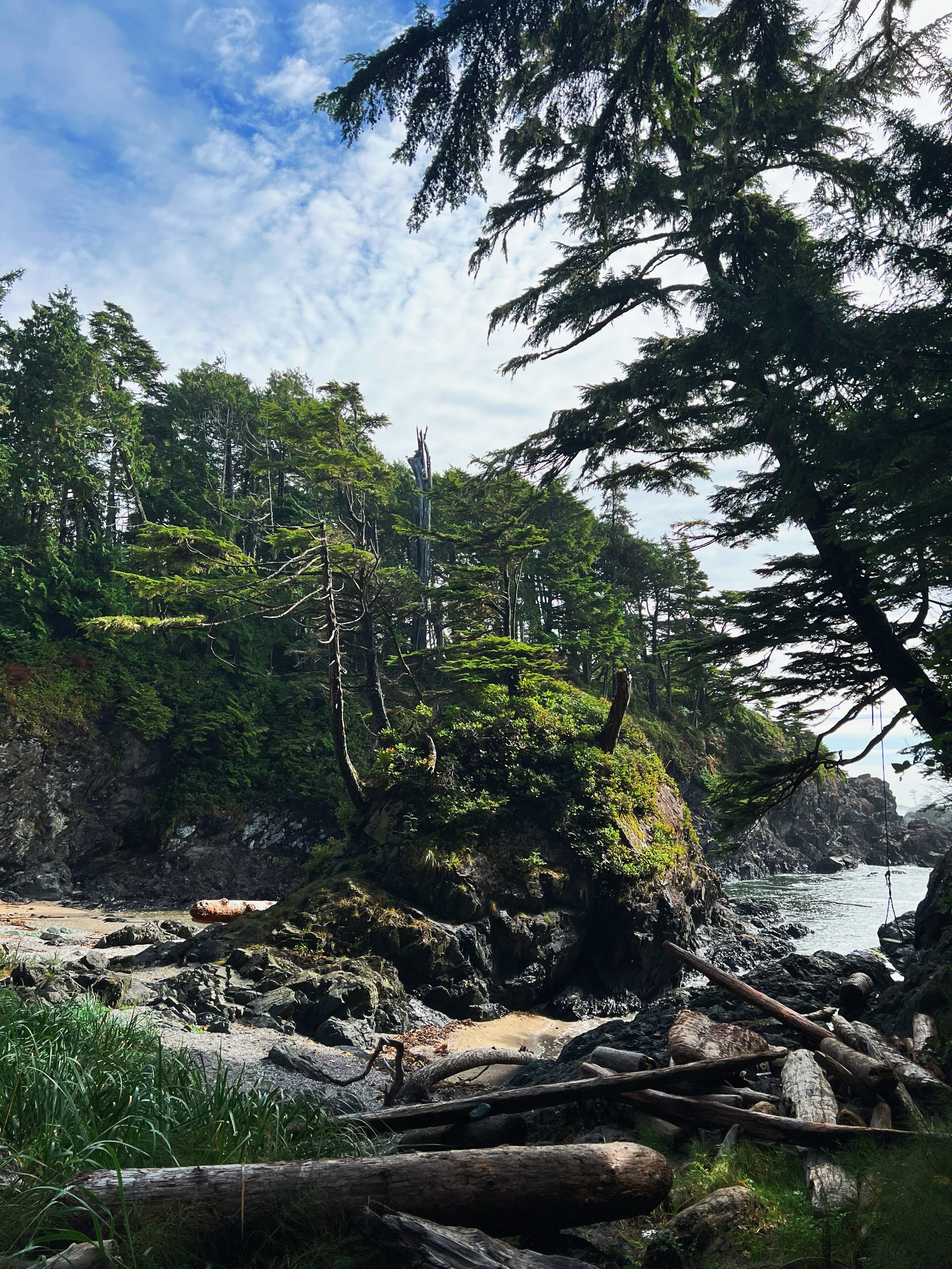 Little things from fall on the west coast 🌞🍂🧚🏼&zwj;♀️🌀