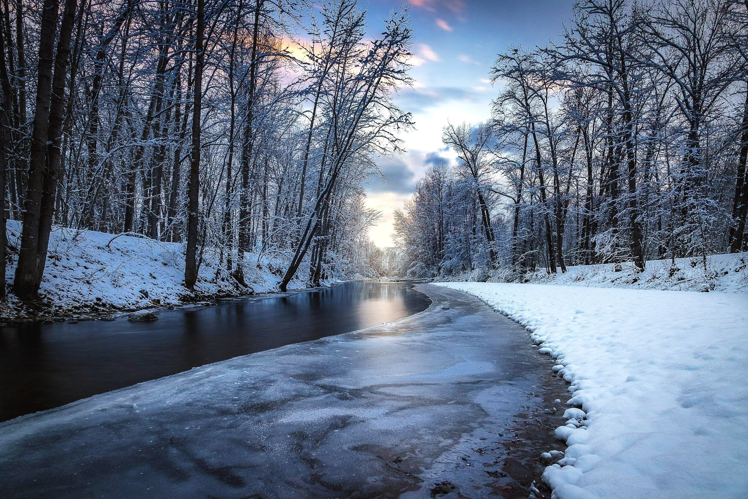 Business Directory Search (Copy) — Rindge Chamber of Commerce