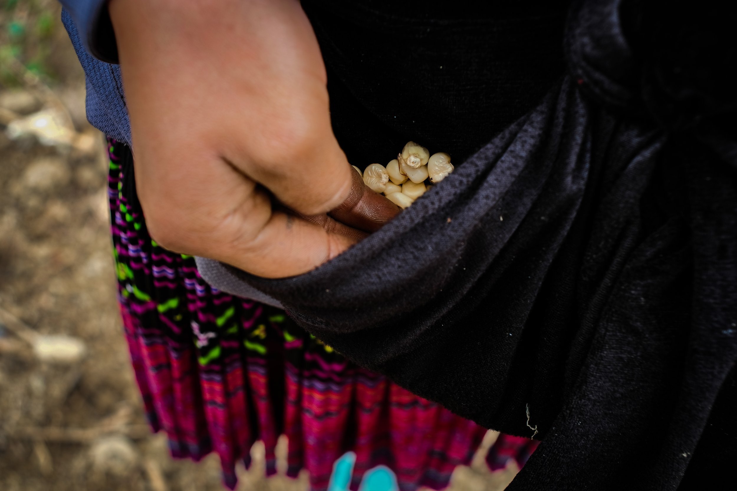 International Seed Day: Seeds and People