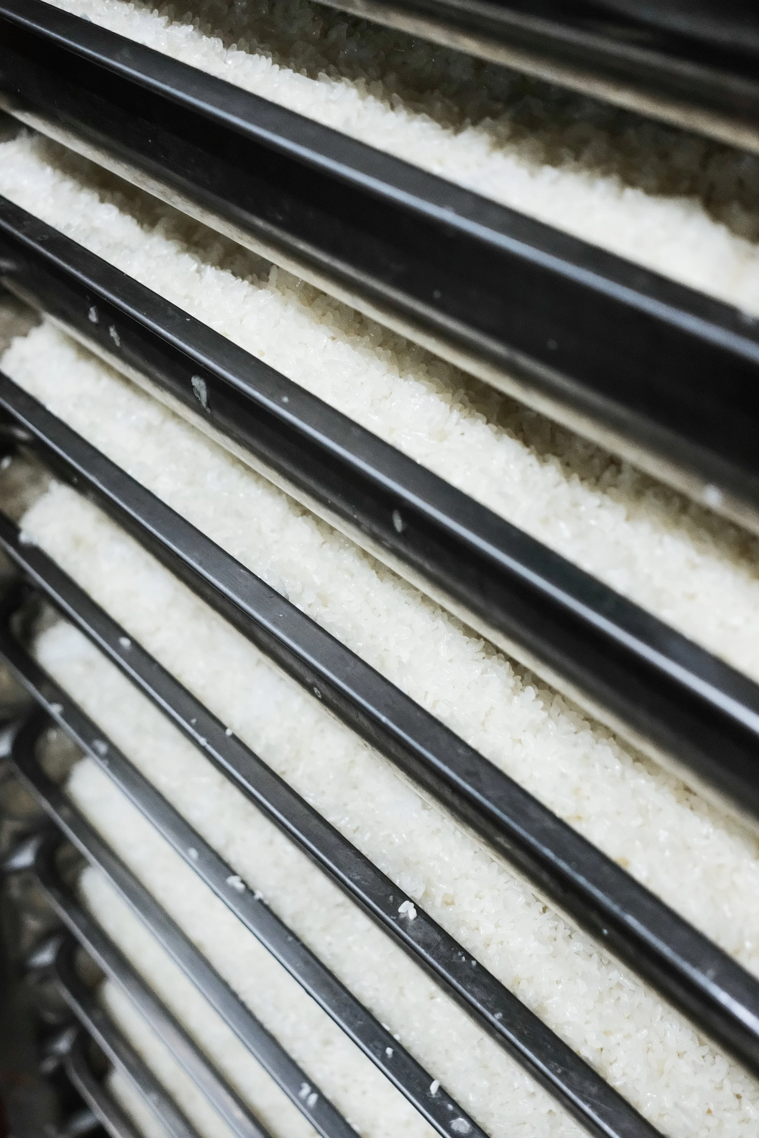 A take on traditional rượu cái (Vietnamese fermented rice wine) — Sông ...