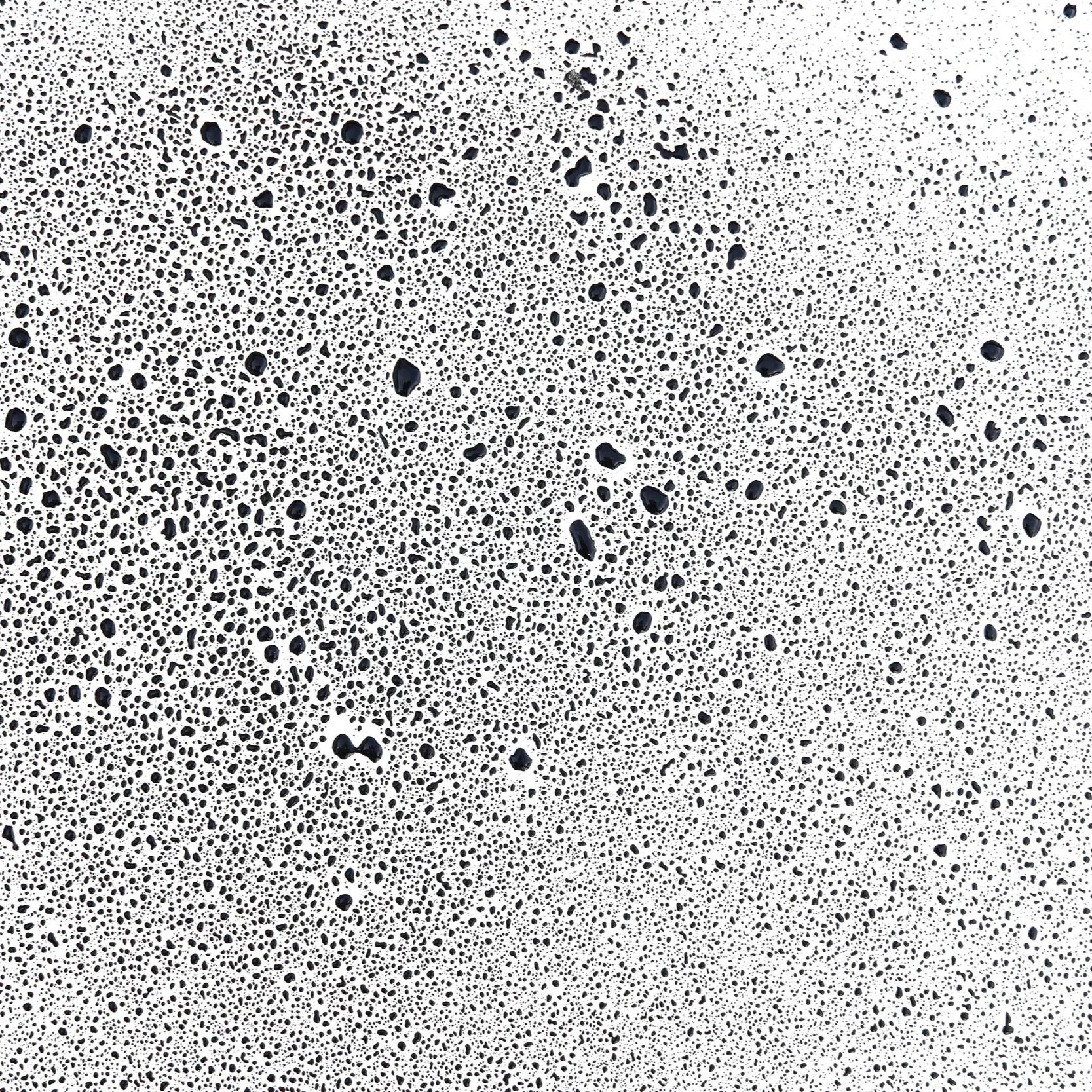 black-ink-dots-on-white-background-2026-03-18-17-35-33-utc.jpg