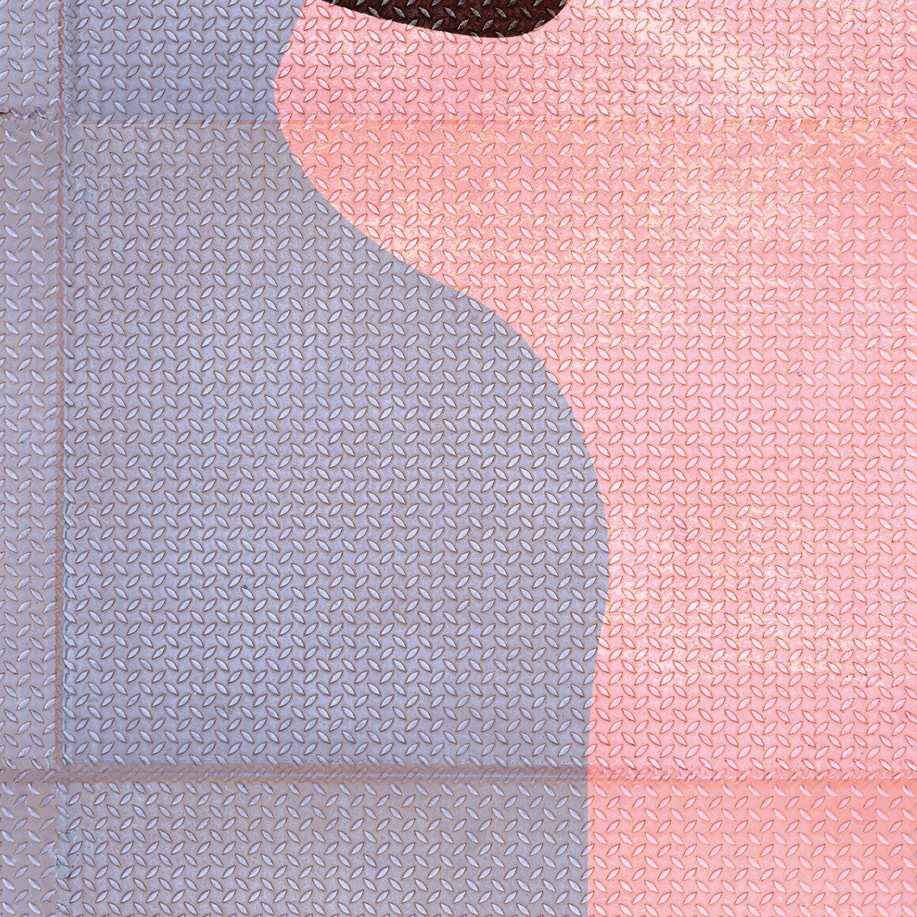 male_head_1_2026_08.jpg
