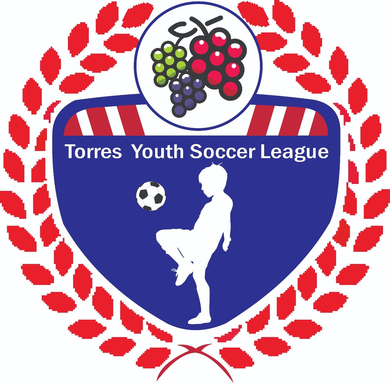 Torres Youth Soccer League
