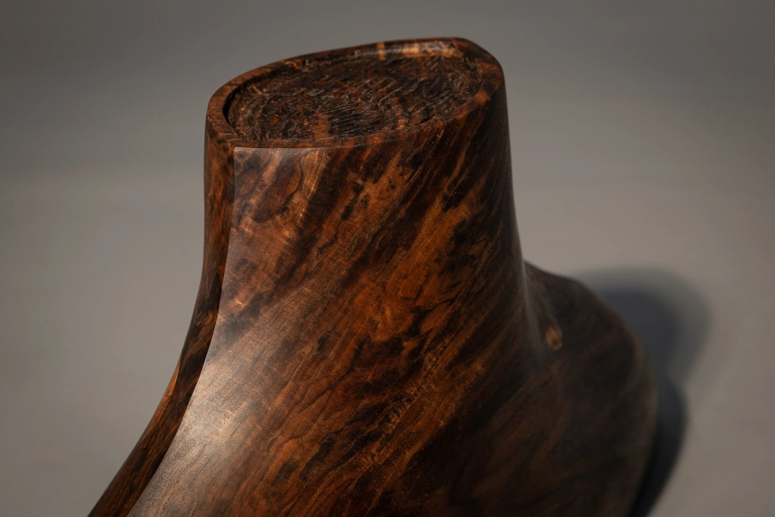 Moons of Jupiter foot detail rect.jpg