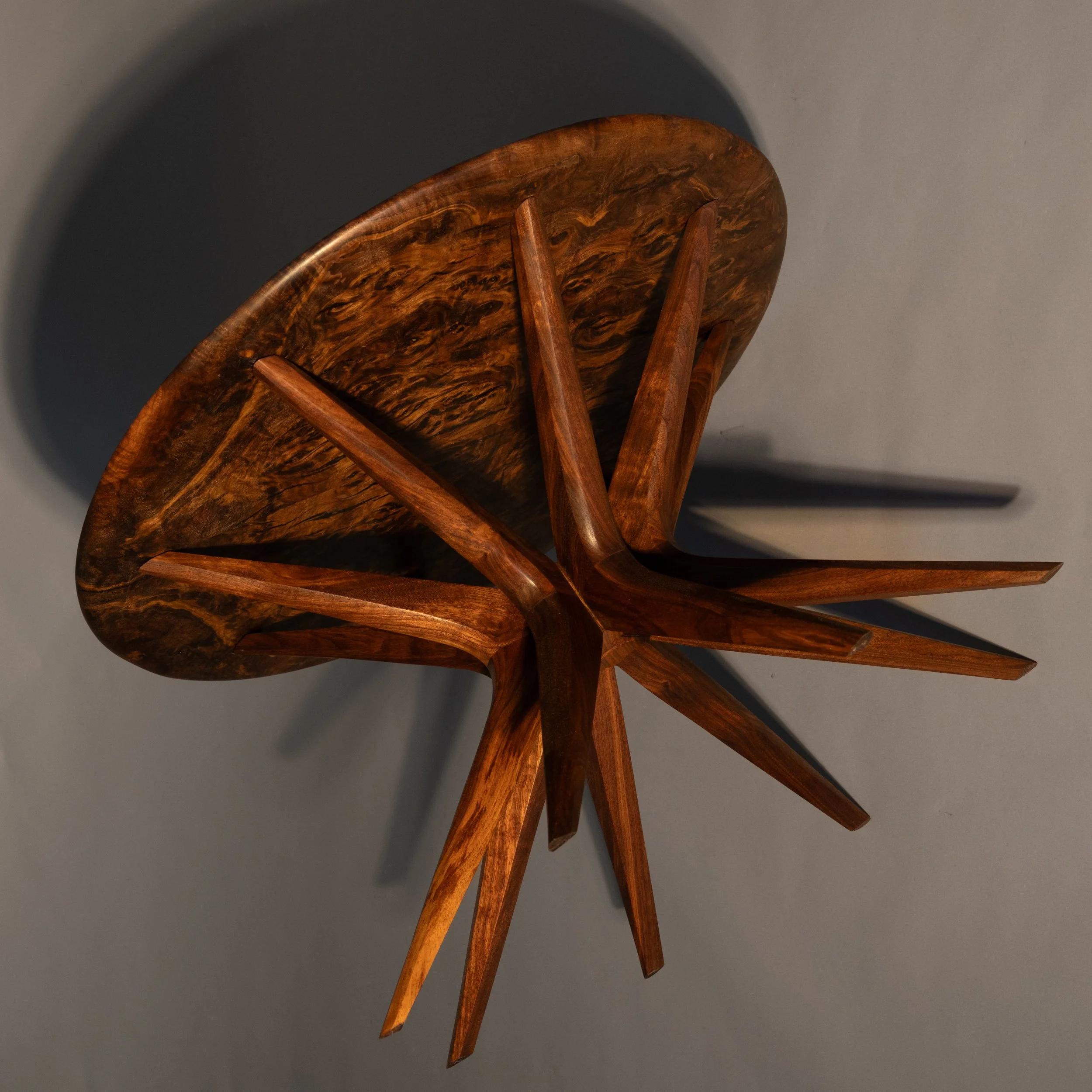Constellation underside.jpg