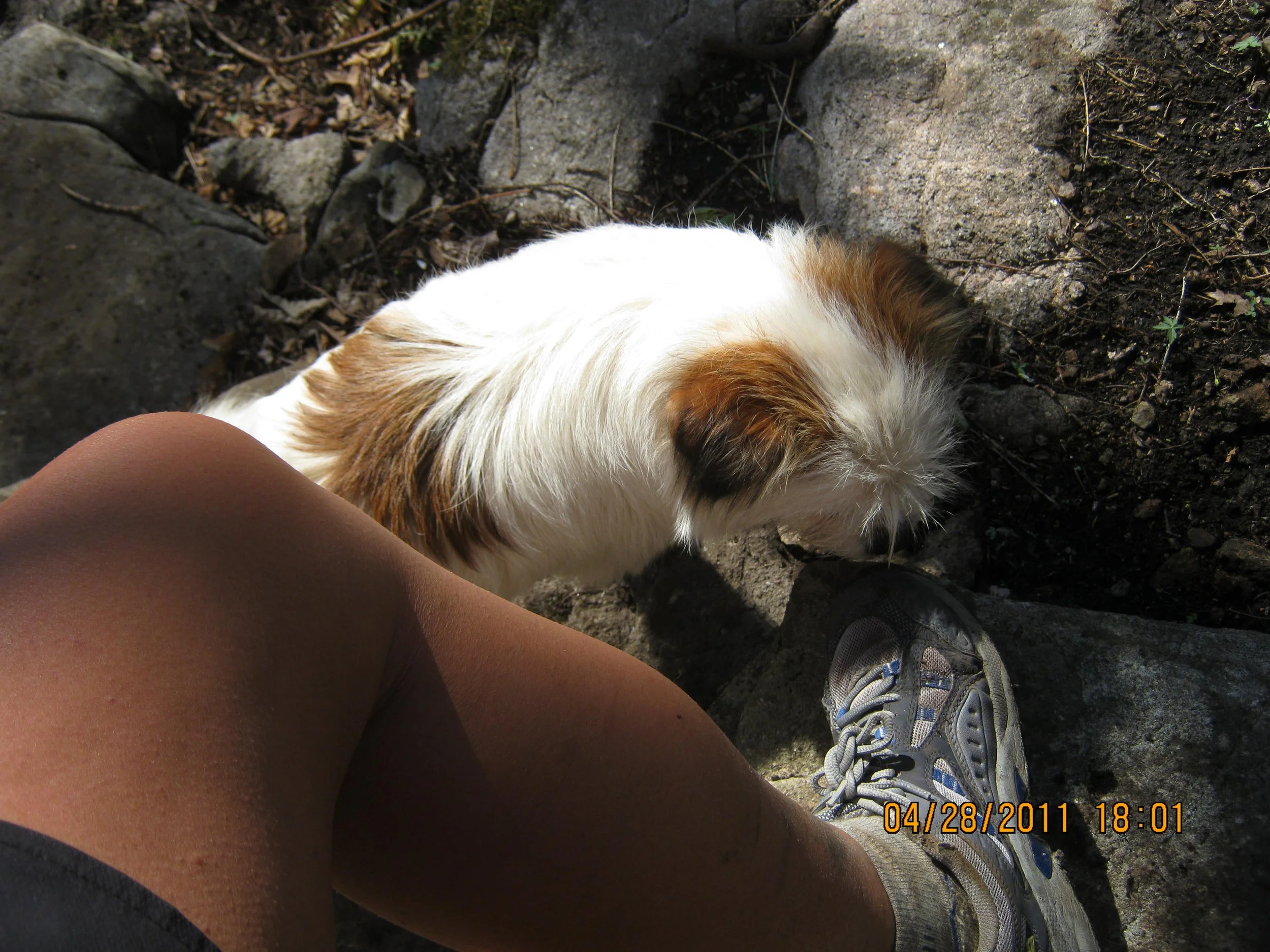 The coolest Hike-Your-Own Hike story ever