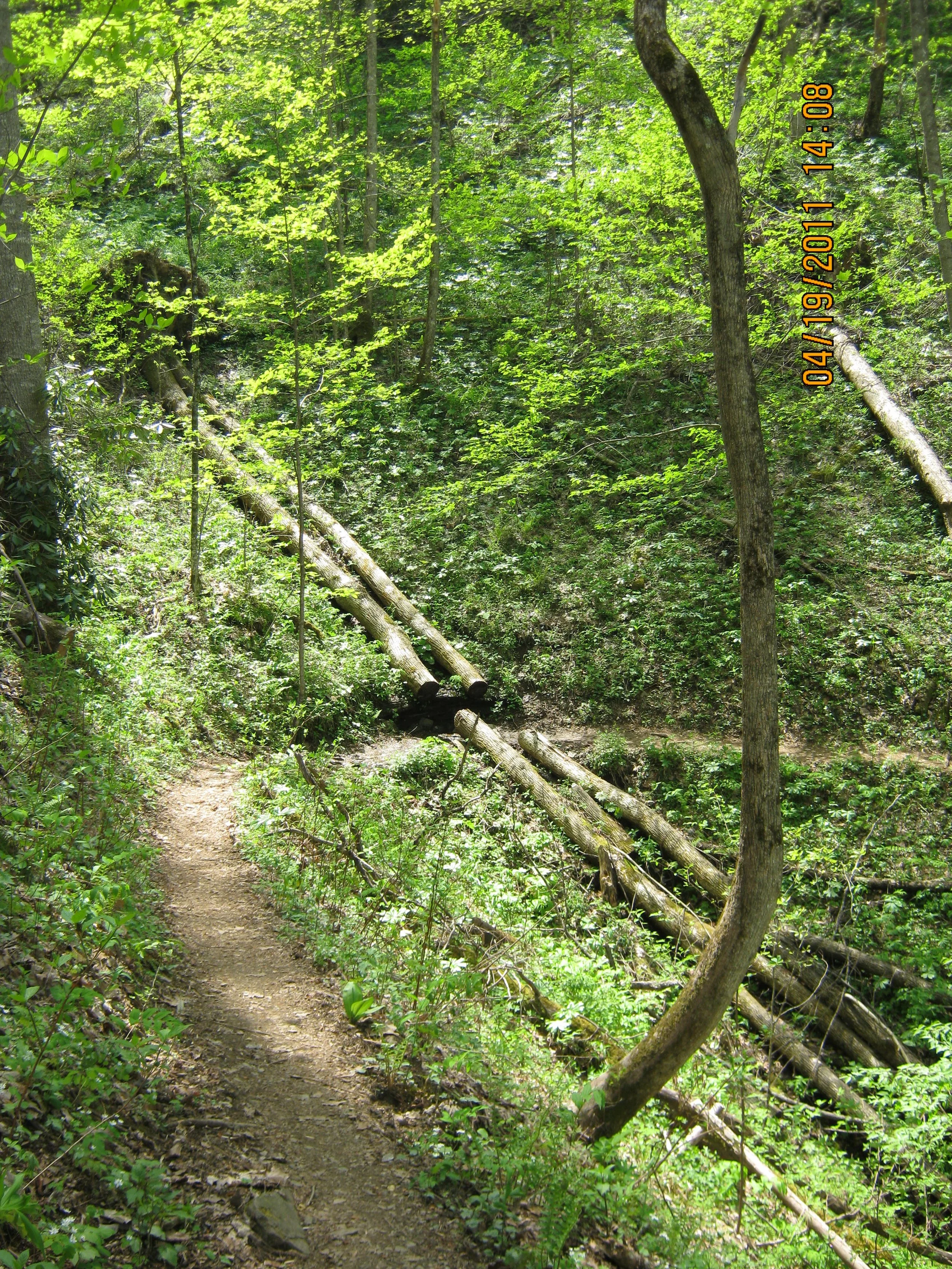 Recovery from Injury