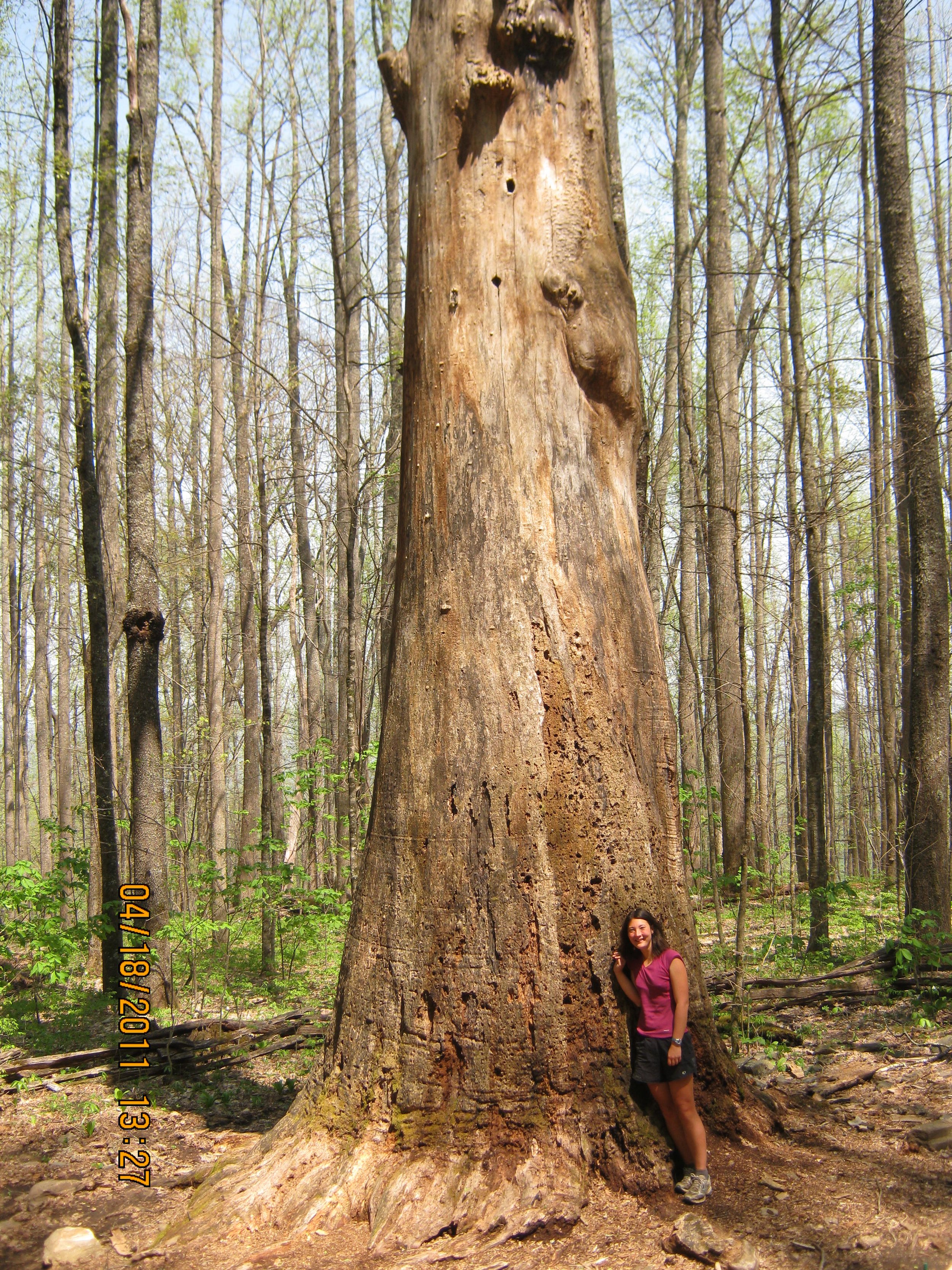 Visiting an old, dead, friend