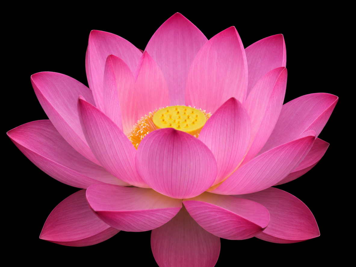Sensory Awakening - a Tantric Date Night Experience for Couples