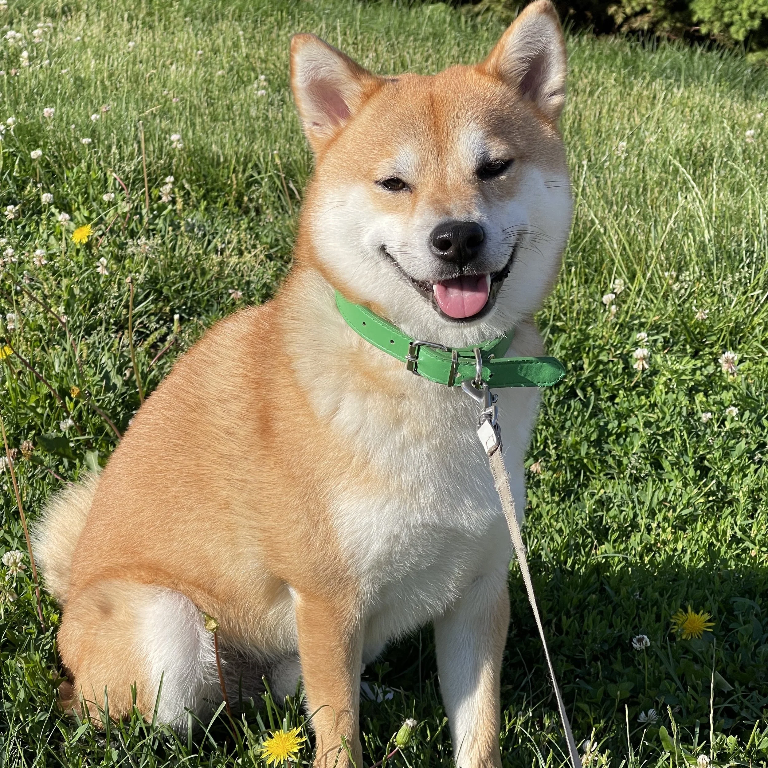 People — Zhiguo Zhang Lab Columbia University