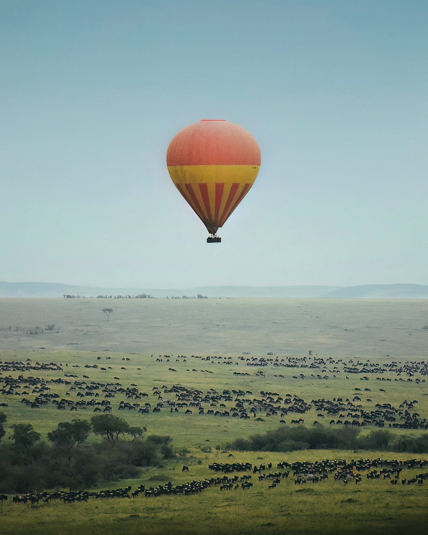 One from the archive &mdash; hot air balloon over the wildebeest migration in 2017 ✨

A favourite memory captured on my very first beginner camera + kit lens, taken 3 years before learning the ins and outs of photography had even crossed my mind. It'