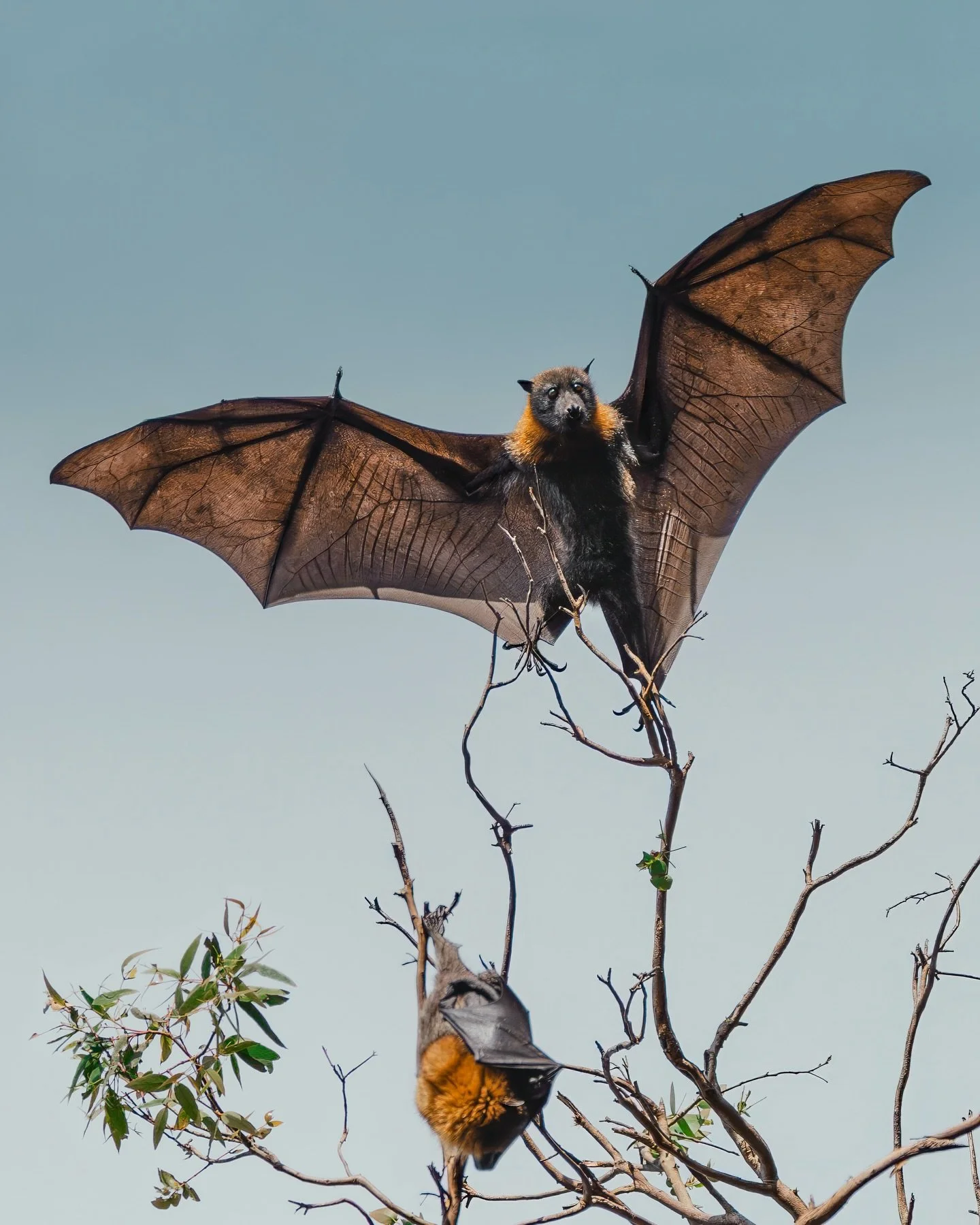 Bye 2025 👋🏼 A few of my favourite portraits from the last 12 months 💚

2025 was a HUGE year of career growth... I pinch myself every day that the thing that brings me the most joy is the thing that I get to call my job. Spending time in the wild a