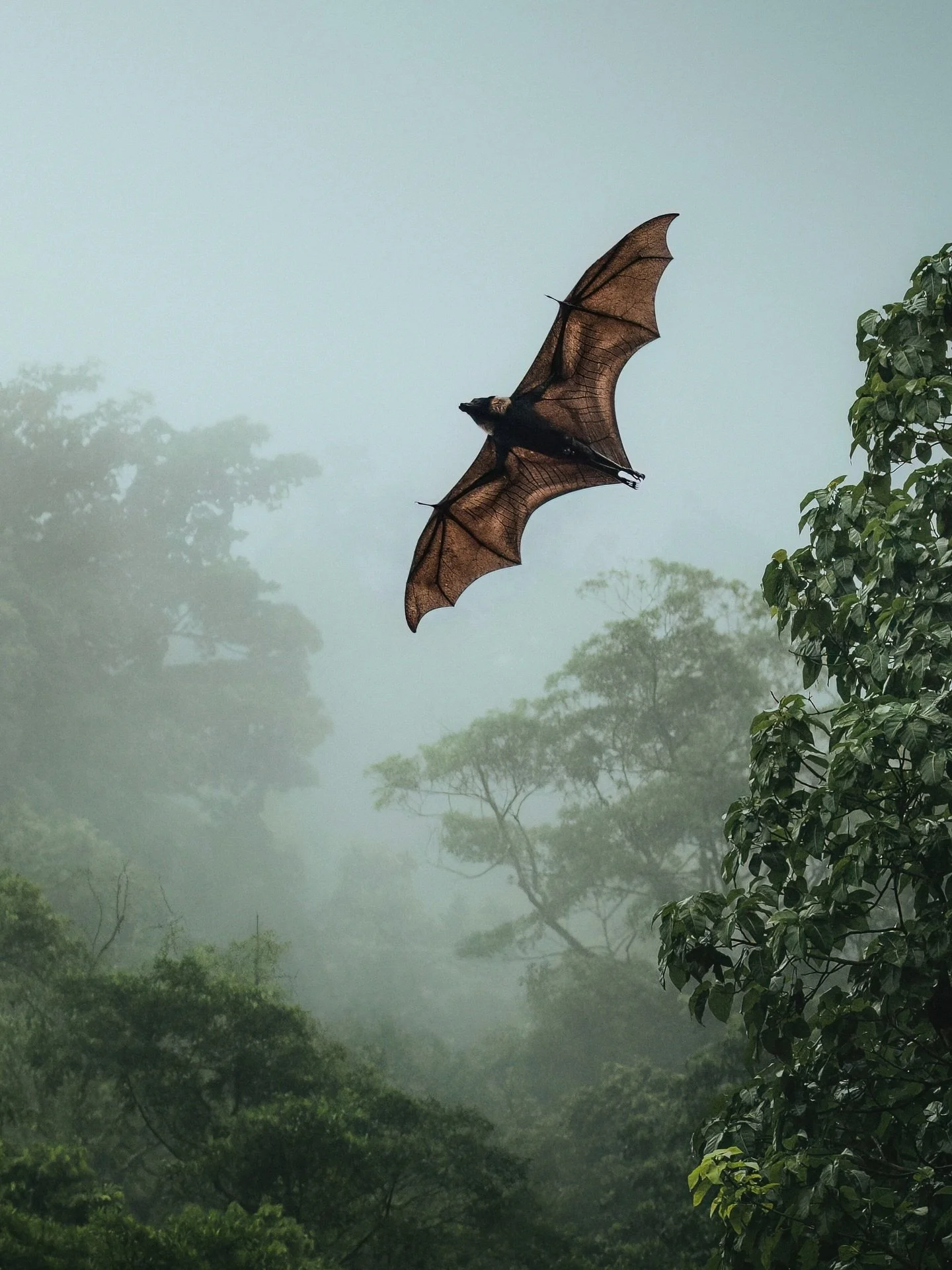A magical rainbow planet 🌈

Happy Earth Day &mdash; I feel pretty dang lucky to create art on a planet so wildly beautiful... Caring for it and all life that calls it home is a group project, today and every day 🌎 The environment, animals, HUMANS a