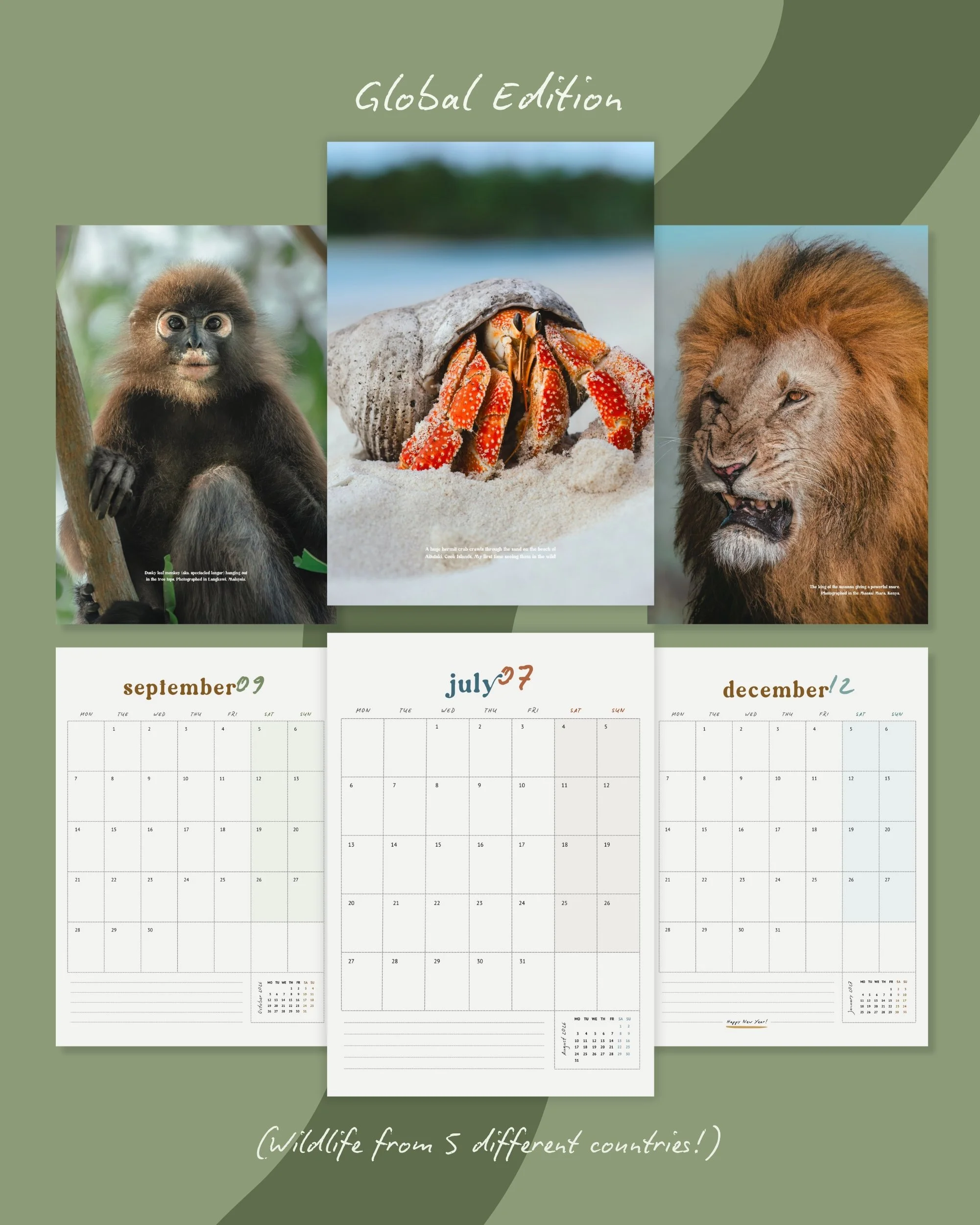 Inside of the 2026 Wildlife Photography calendar