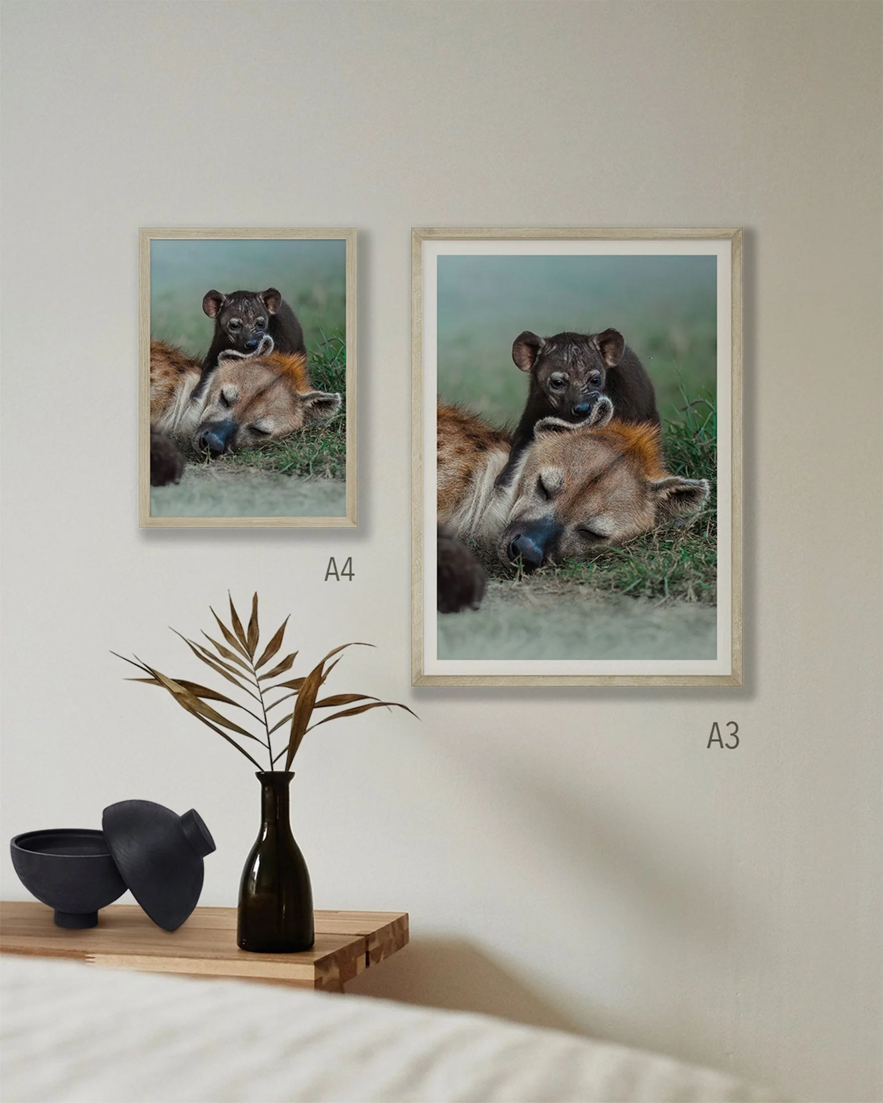 2 fine-art prints on a wall in sizes A4 and A3. They are displaying the print of a hyena mother and cub