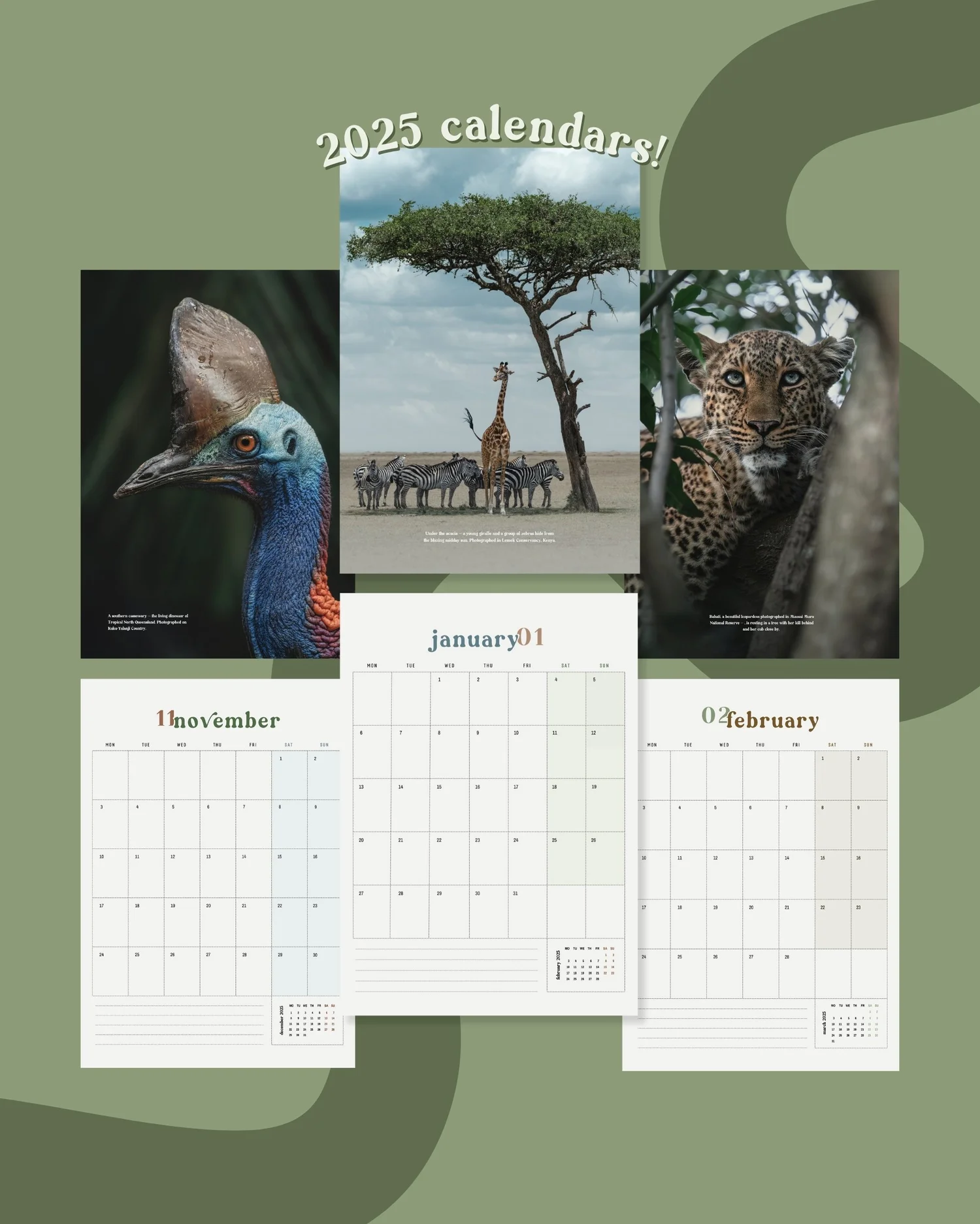 2025 Wildlife Portrait Calendar — Kate Newman 2025-wildlife-portrait-calendar-kate-newman