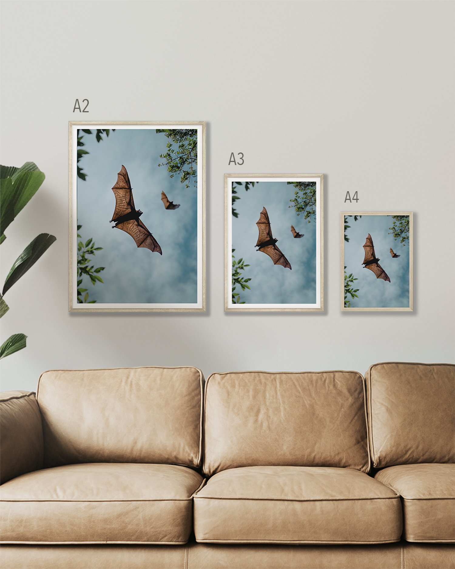 FragileWings_FineArt_FlyingFox_Wildlife_Print_KateNewman.jpg