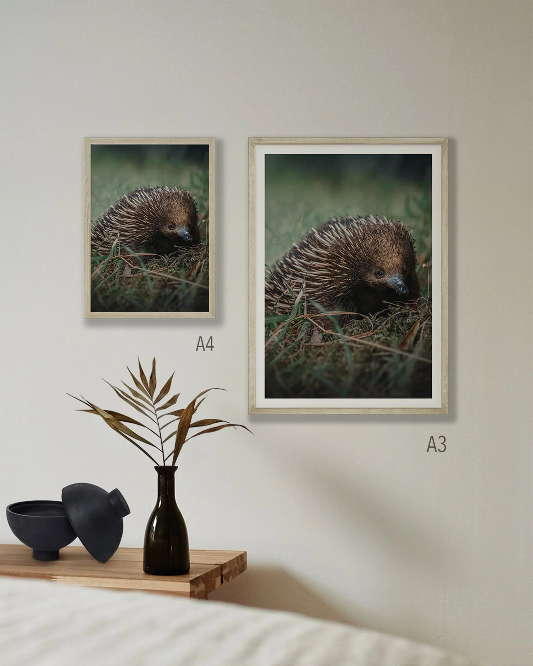 Echidna print with a face full of ants. 2 sizes on a wall in A3 in A4.