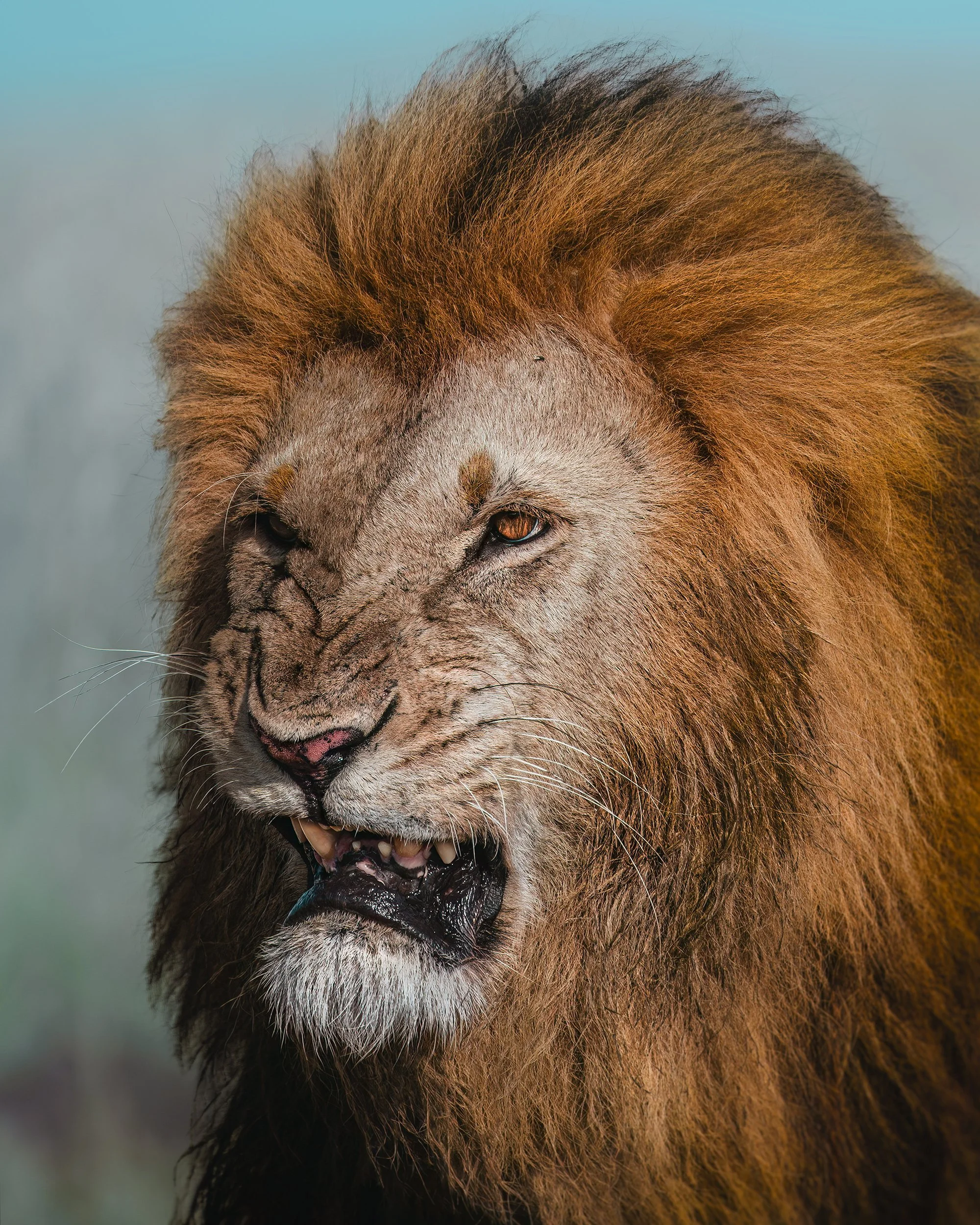 Mufasa ⏤ Maasai Mara