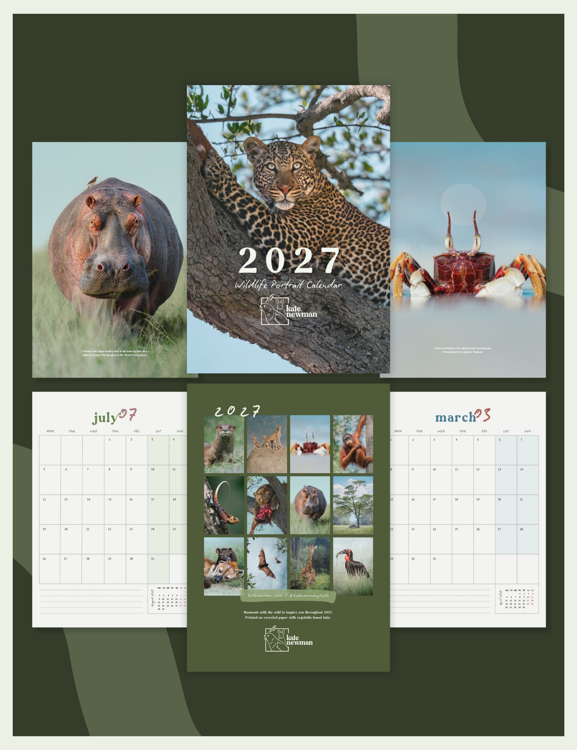 2027 Wildlife Photography Calendar by Kate Newman