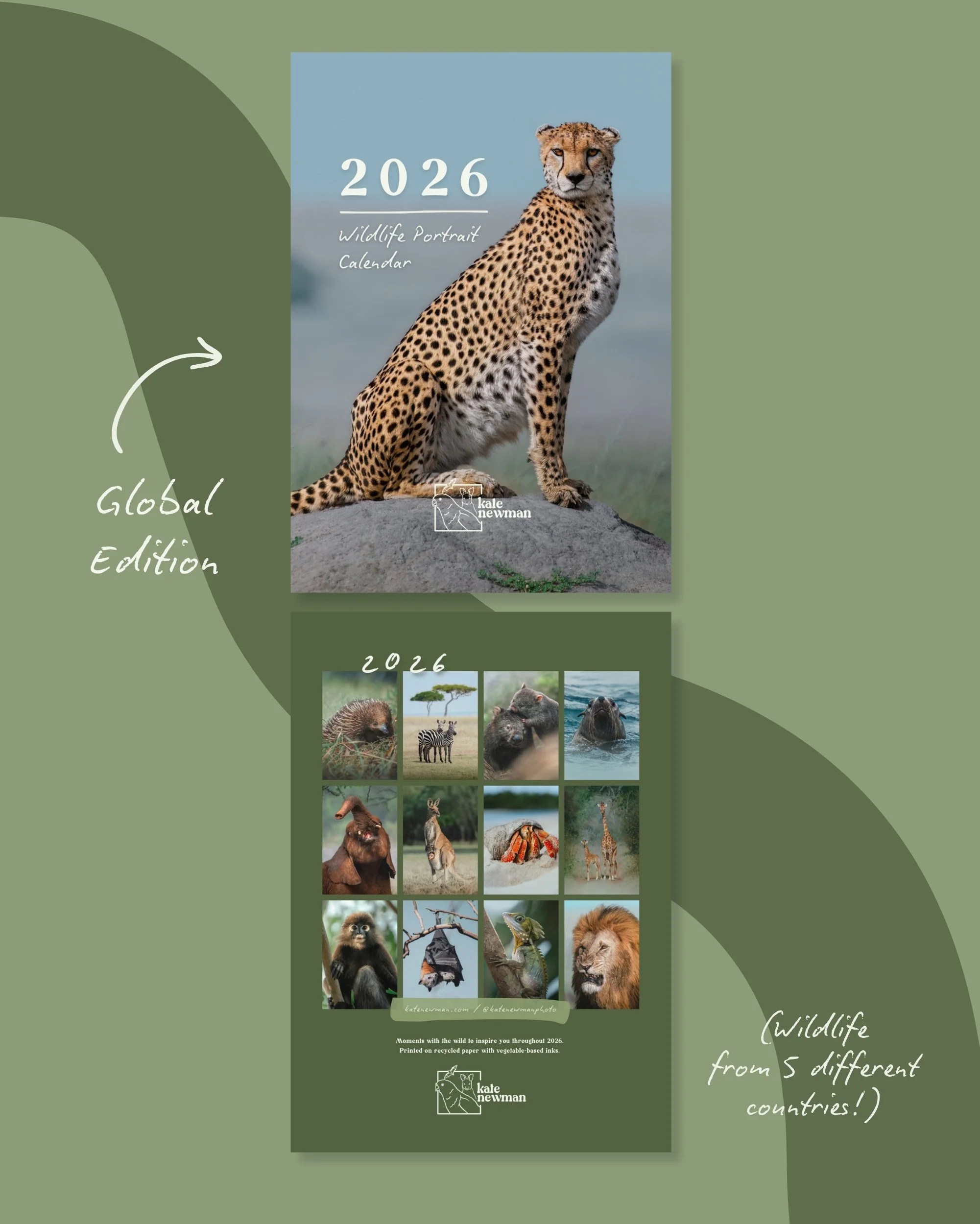 2026 Wildlife Portrait Calendar by Kate Newman Photography