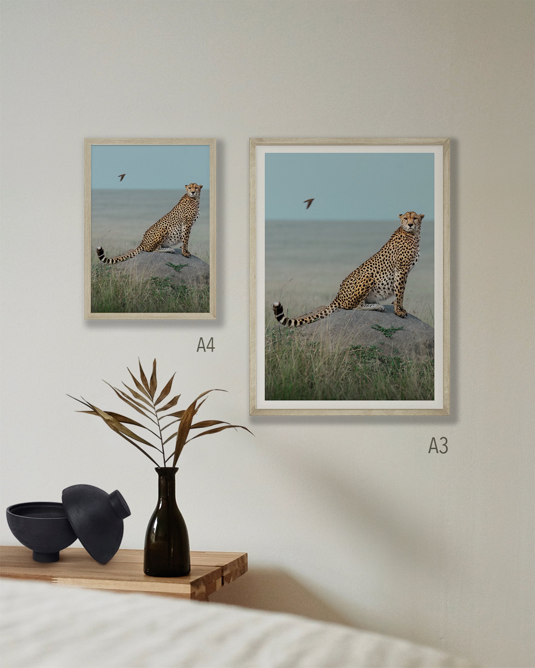 2 fine-art prints of a cheetah sitting on a termite mound. The 2 sizes displayed on the wall are A3 and A4.